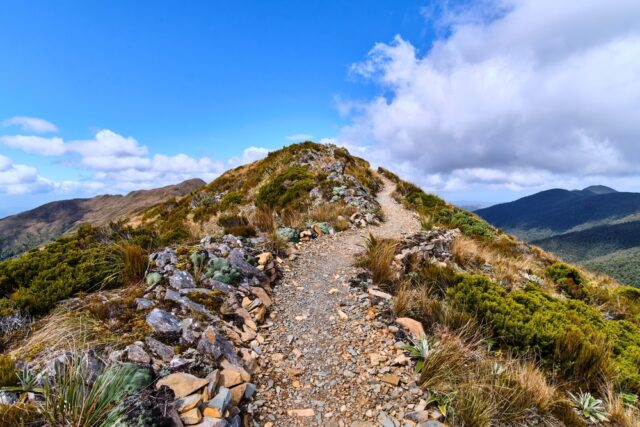 Mt biking new zealand